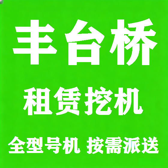 北京丰台桥挖机租赁图