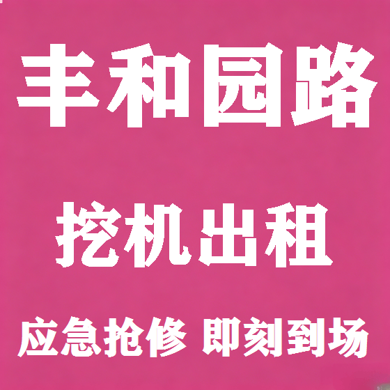 北京丰和园路挖机租赁图