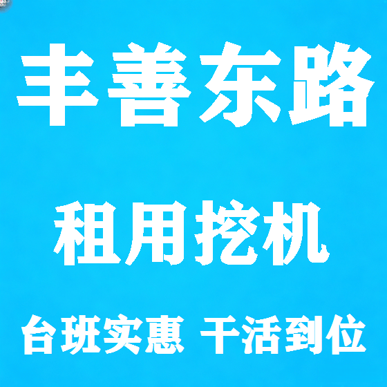 北京丰善东路挖机租赁图