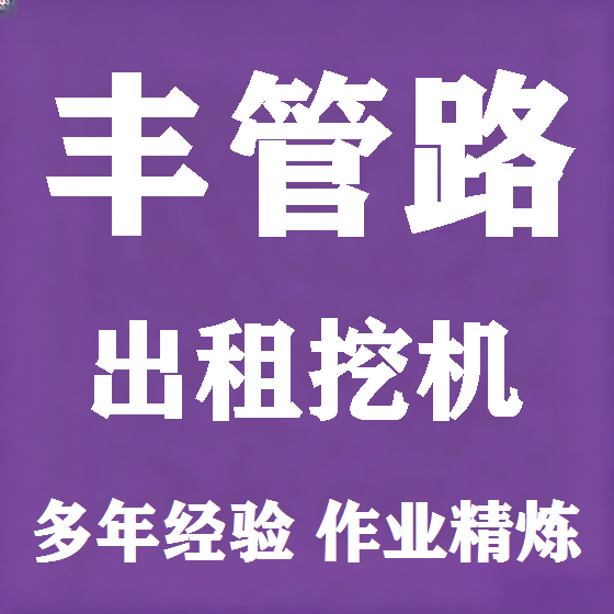 北京丰管路挖机租赁图