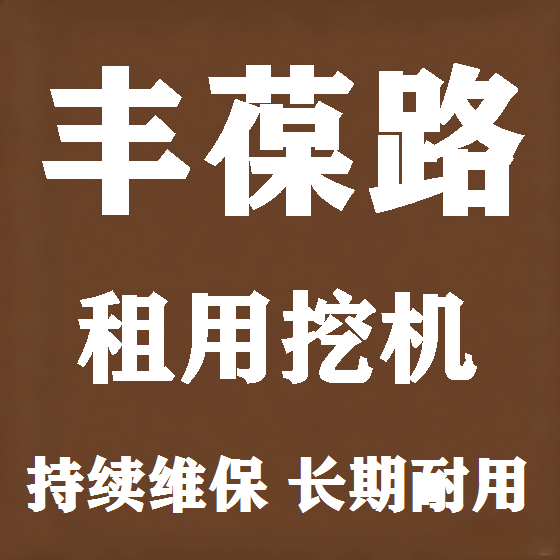 北京丰葆路挖机租赁图