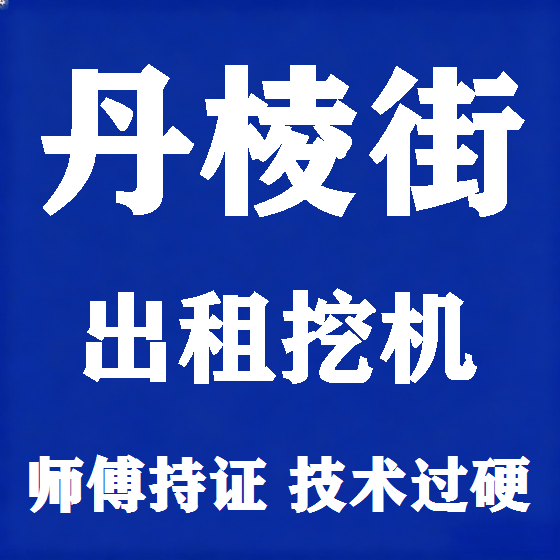 北京丹棱街挖机租赁图
