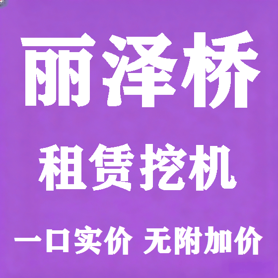 北京丽泽桥挖机租赁图