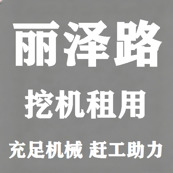 北京丽泽路挖机租赁图