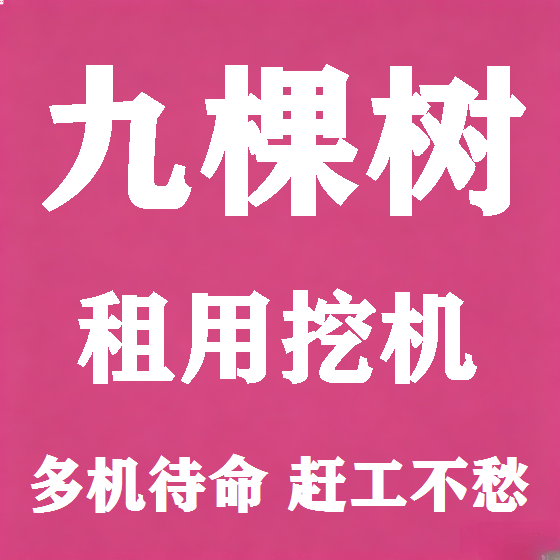 北京九棵树挖机租赁图