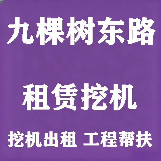 北京九棵树东路挖机租赁图