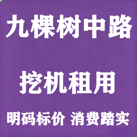 北京九棵树中路挖机租赁图