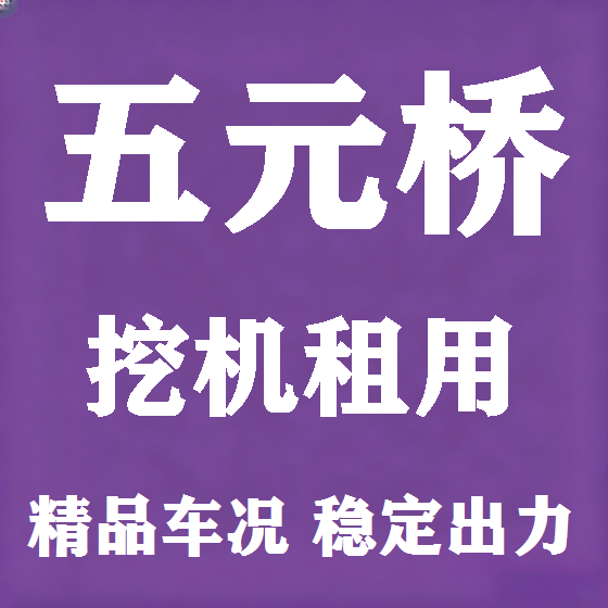 北京五元桥挖机租赁图