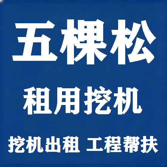 北京五棵松挖机租赁图