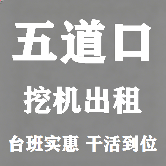 北京五道口挖机租赁图