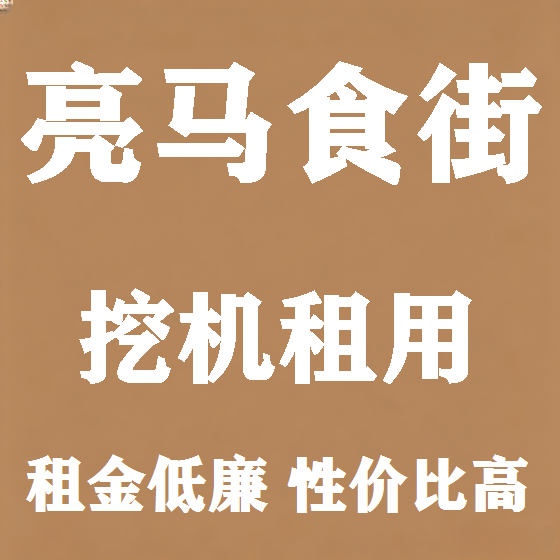 北京亮马食街挖机租赁图