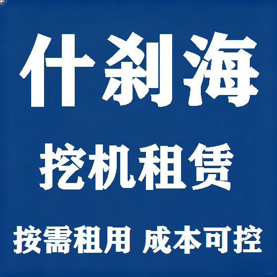 北京什刹海挖机租赁图