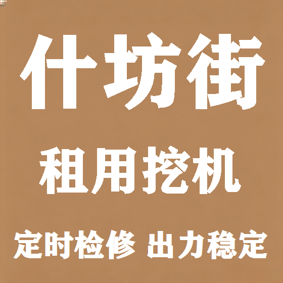 北京什坊街挖机租赁图