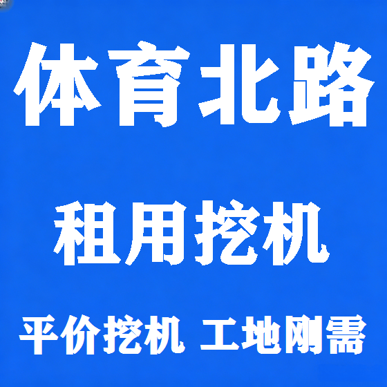 北京体育北路挖机租赁图