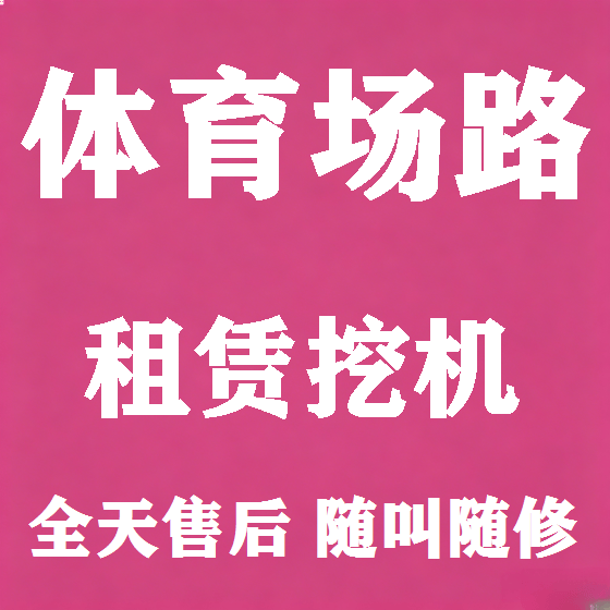 北京体育场路挖机租赁图