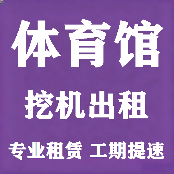 北京体育馆挖机租赁图