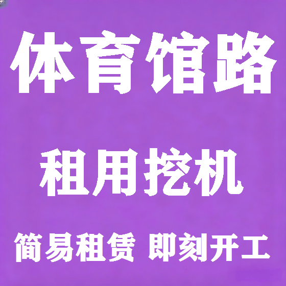 北京体育馆路挖机租赁图