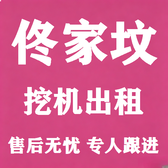 北京佟家坟挖机租赁图