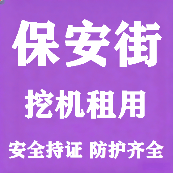 北京保安街挖机租赁图