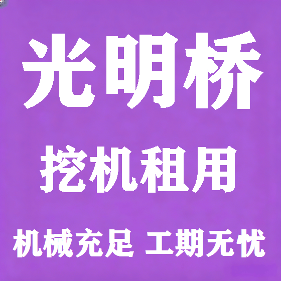 北京光明桥挖机租赁图
