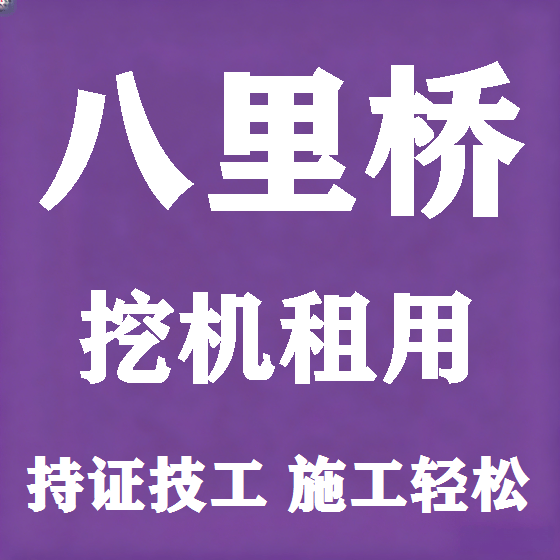 北京八里桥挖机租赁图