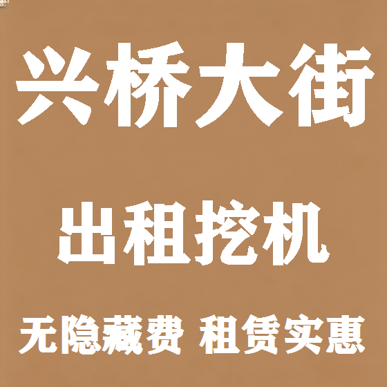 北京兴桥大街挖机租赁图