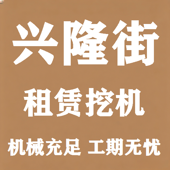 北京兴隆街挖机租赁图