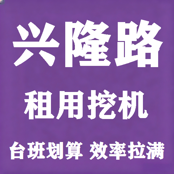 北京兴隆路挖机租赁图