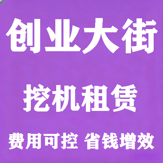 北京创业大街挖机租赁图