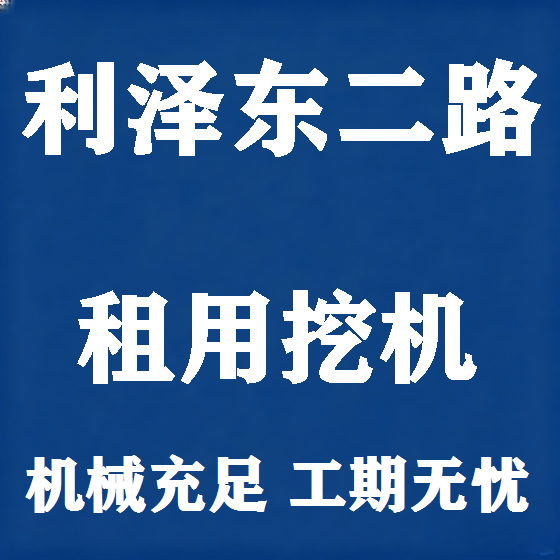 北京利泽东二路挖机租赁图