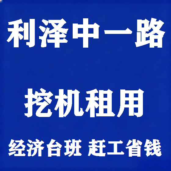 北京利泽中一路挖机租赁图