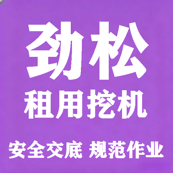 北京劲松挖机租赁图