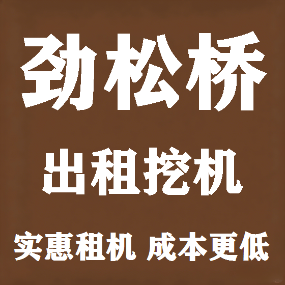 北京劲松桥挖机租赁图