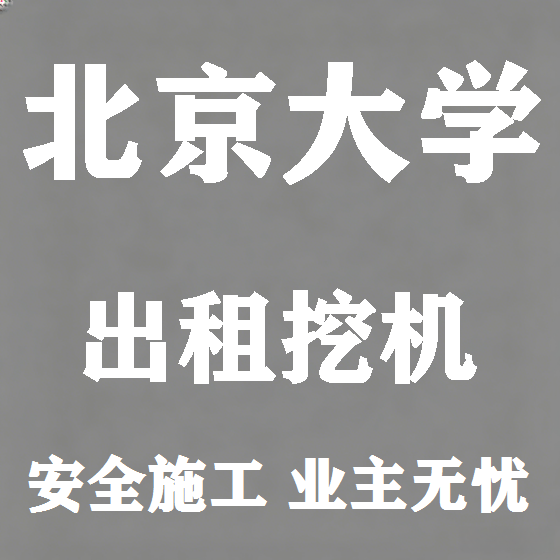 北京北京大学挖机租赁图