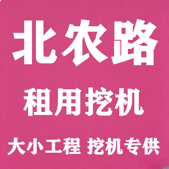 北京北农路挖机租赁图