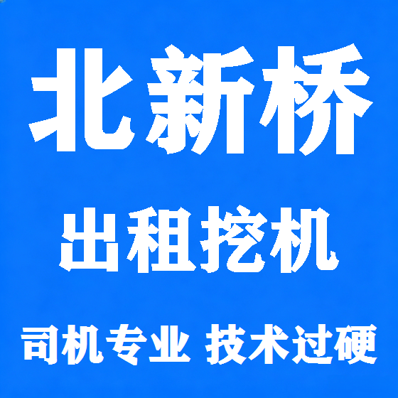 北京北新桥挖机租赁图