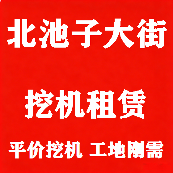 北京北池子大街挖机租赁图