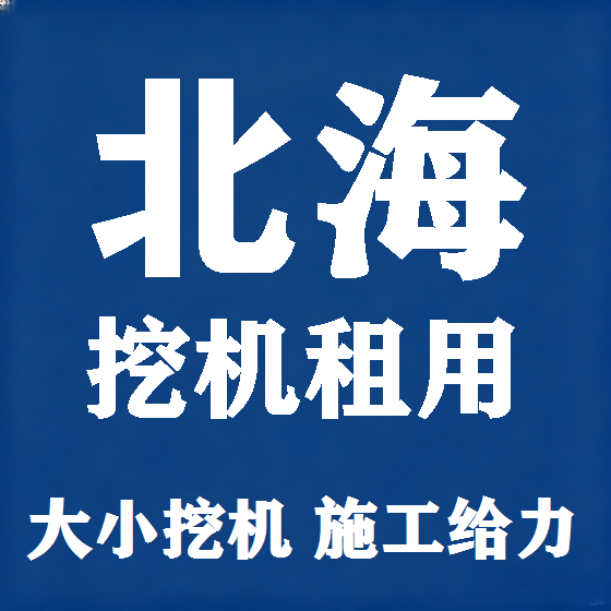 北京北海挖机租赁图