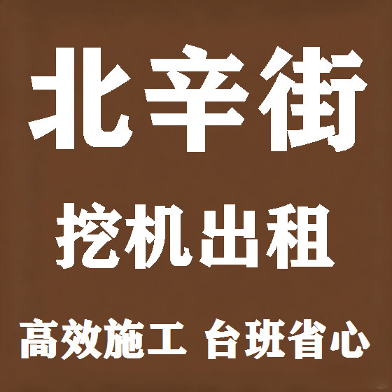 北京北辛街挖机租赁图