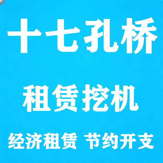 北京十七孔桥挖机租赁图