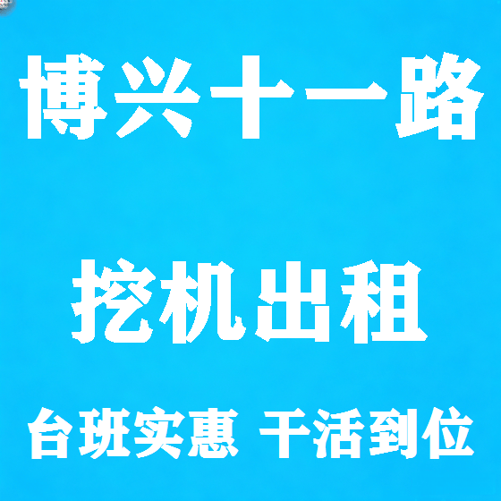 北京博兴十一路挖机租赁图