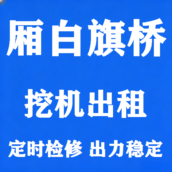 北京厢白旗桥挖机租赁图