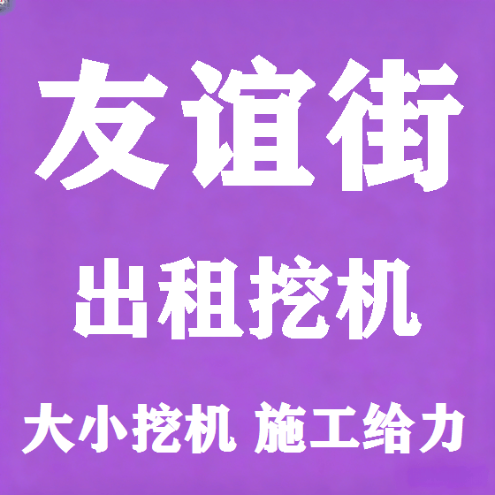 北京友谊街挖机租赁图
