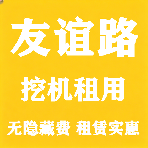 北京友谊路挖机租赁图