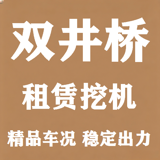 北京双井桥挖机租赁图