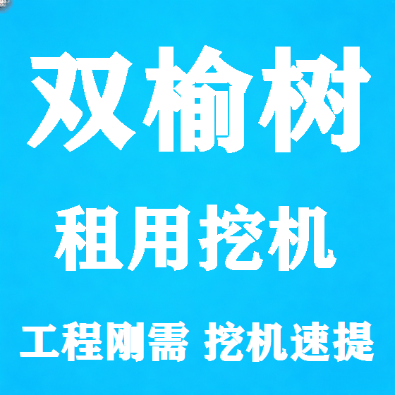北京双榆树挖机租赁图