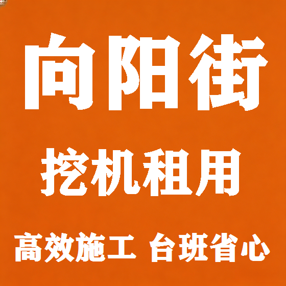 北京向阳街挖机租赁图