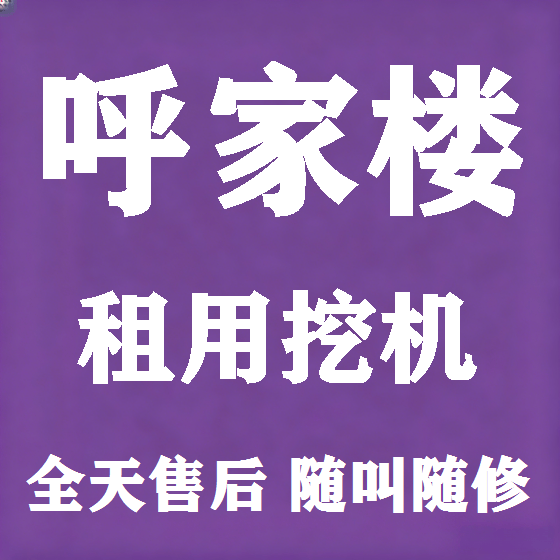 北京呼家楼挖机租赁图