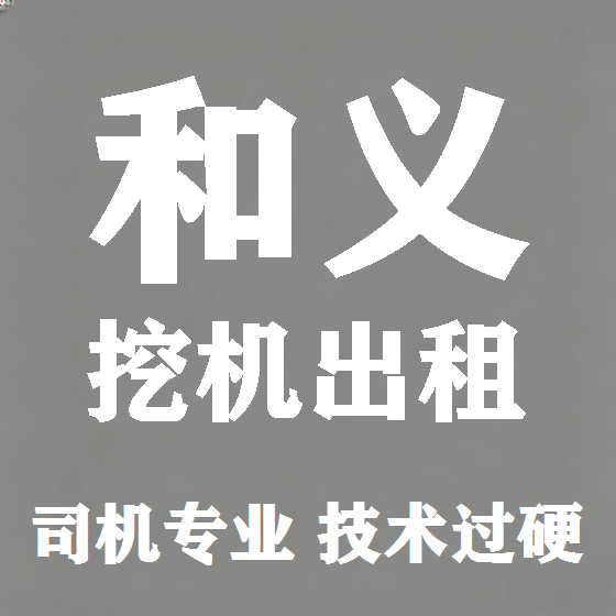 北京和义挖机租赁图