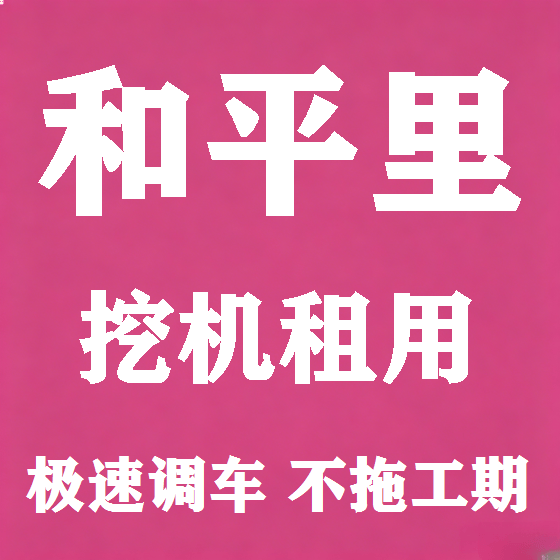 北京和平里挖机租赁图
